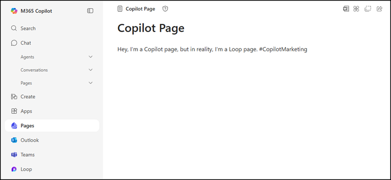 Copilot Page in the Copilot web app