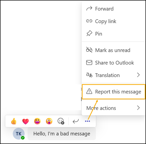 Report a security concern with external users