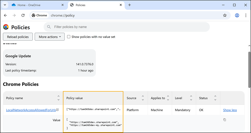 Google Chrome policy