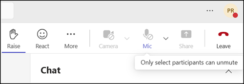 Mic and camera are disabled by default