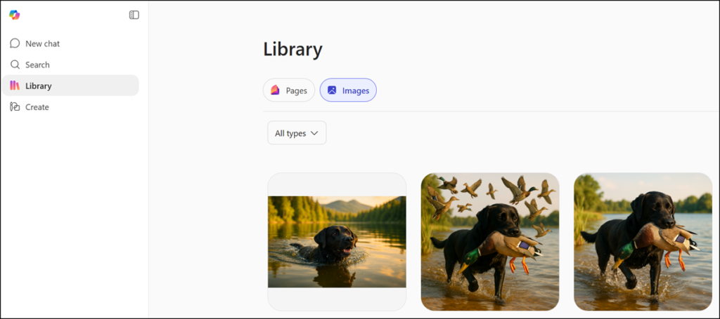 Images are stored in your image library