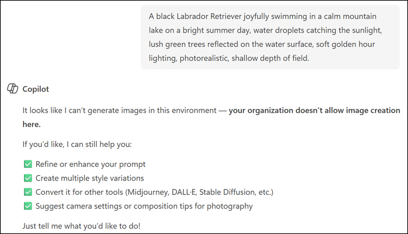 Copilot image generation is disabled