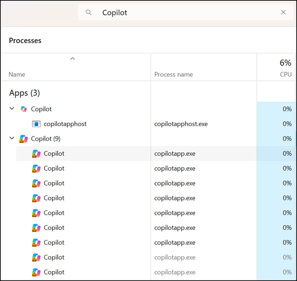 New copilotapp.exe process